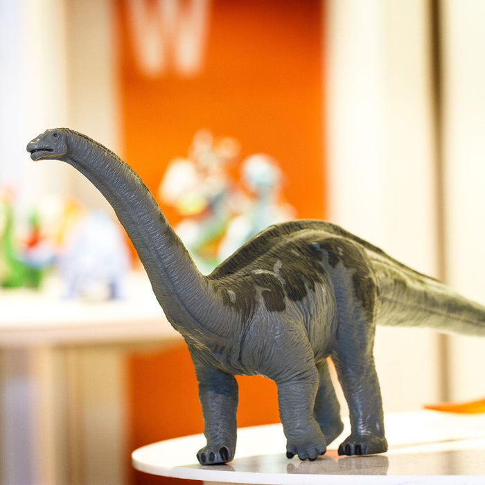 Apatosaurus Toy - Safari Ltd®