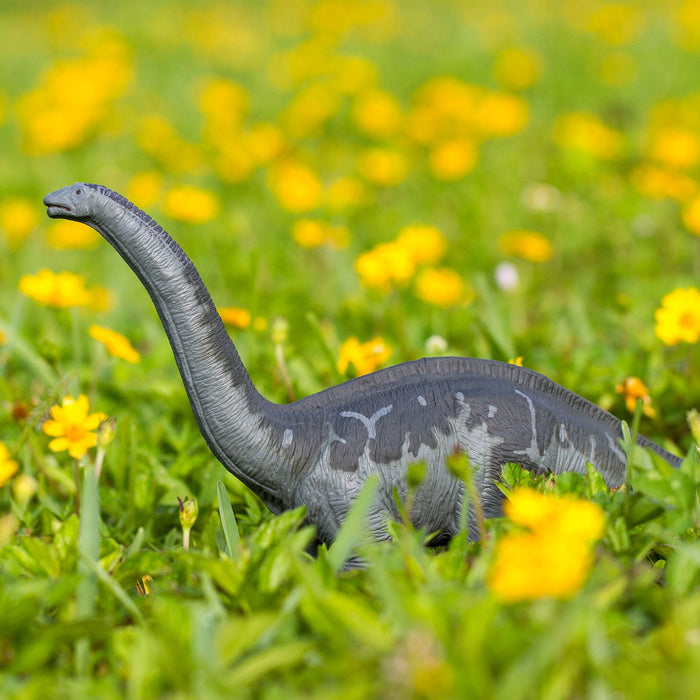 Safari sales ltd apatosaurus