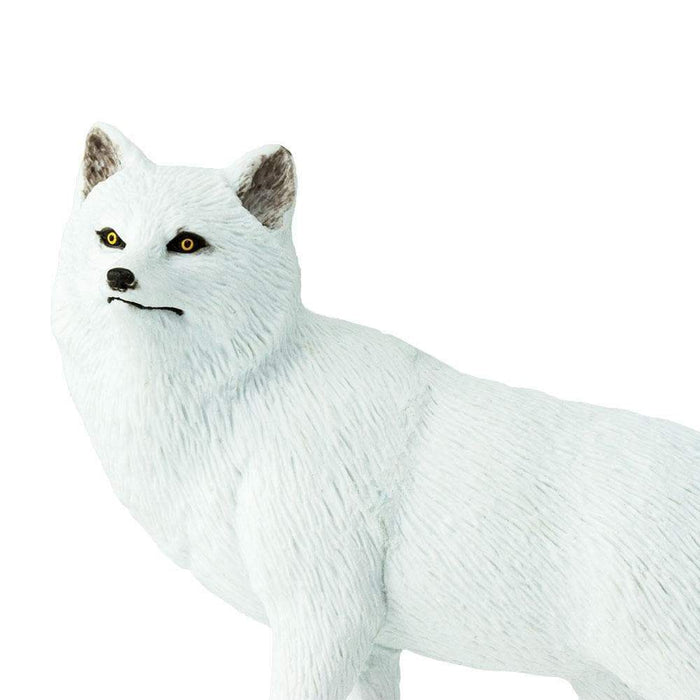 Arctic Fox Toy | Wildlife Animal Toys | Safari Ltd.