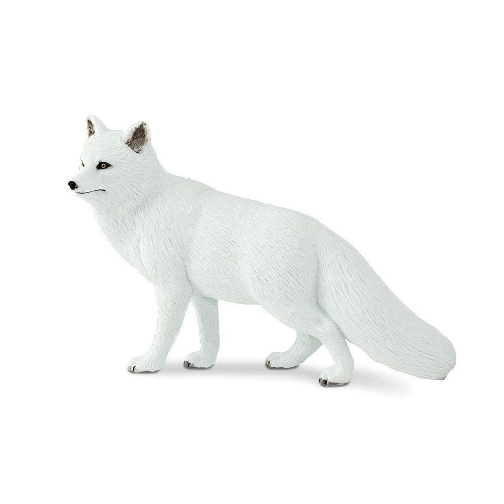 Realistic Arctic Fox Toy Figurine | Safari Ltd® | Safari Ltd®