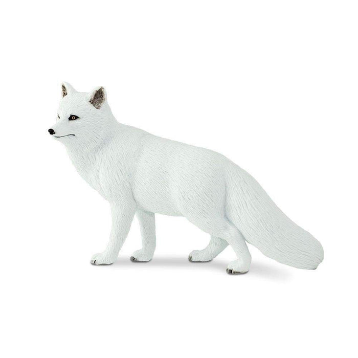 Arctic Fox Toy | Wildlife Animal Toys | Safari Ltd.