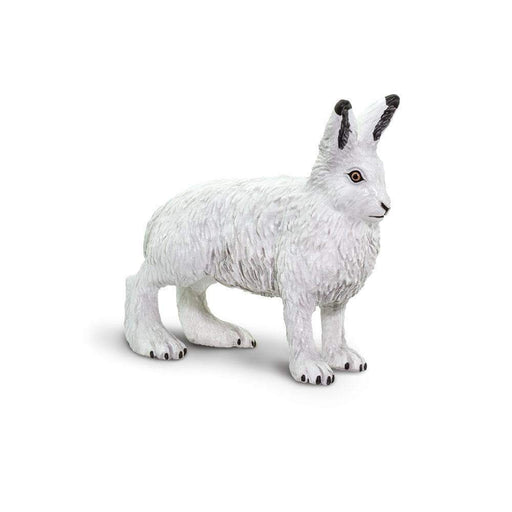 Arctic Hare - Safari Ltd®