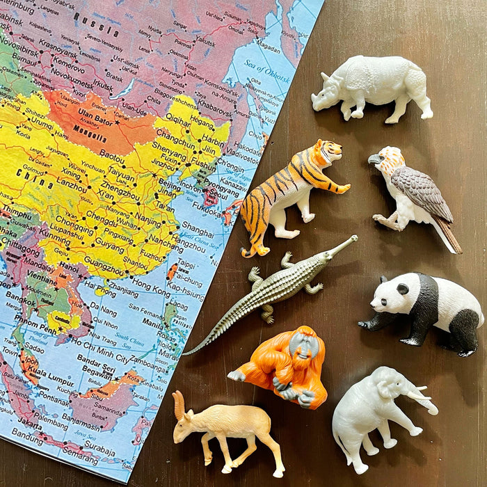 Asian Animals TOOB - Safari Ltd®