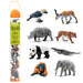 Asian Animals TOOB - Safari Ltd®