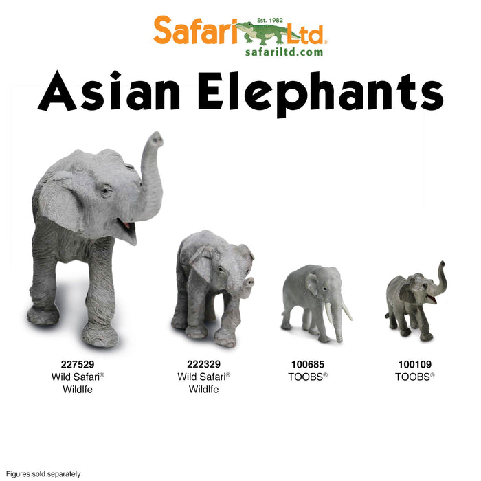 Asian Elephant Toy - Safari Ltd®