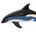 Atlantic White-Sided Dolphin Toy | Sea Life Toys | Safari Ltd.