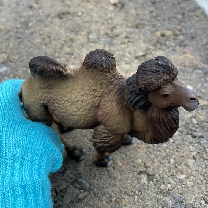 Bactrian Camel Toy - Safari Ltd®