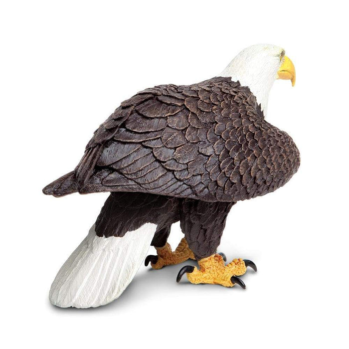 Bald Eagle - Safari Ltd®