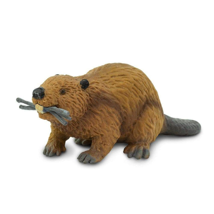 Beaver - Safari Ltd®