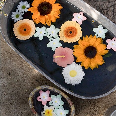 Bella the Flower - Safari Ltd®