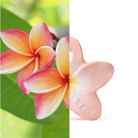 Bella the Flower - Safari Ltd®