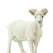 Billy Goat - Safari Ltd®