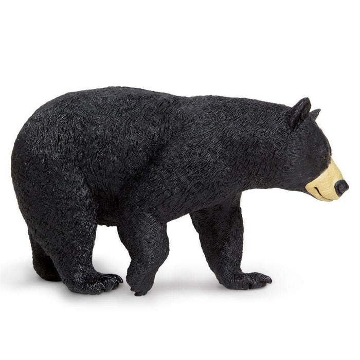 Black Bear Toy | Wildlife Animal Toys | Safari Ltd.