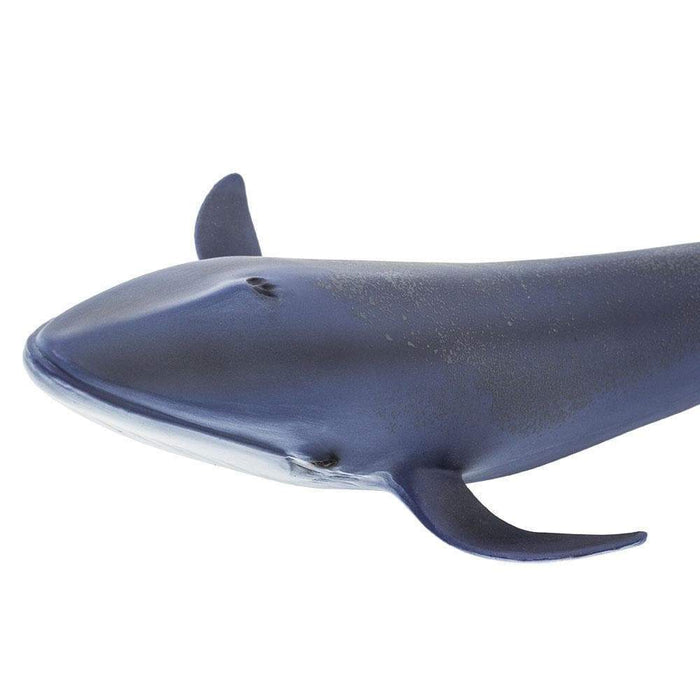 Blue Whale Toy - Sea Life Toys by Safari Ltd.