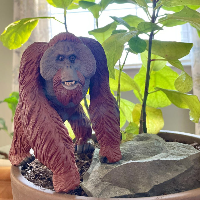 Bornean Orangutan Toy - Safari Ltd®