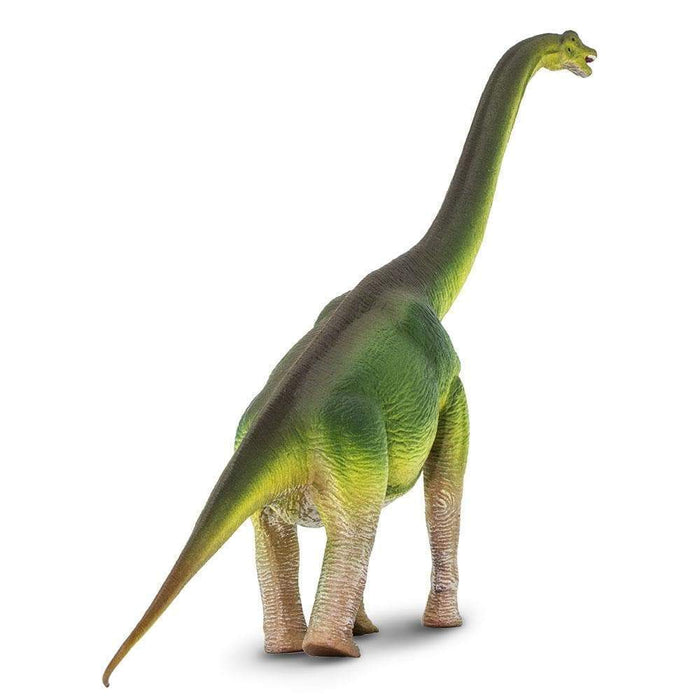 Brachiosaurus Toy | Dinosaur Toys | Safari Ltd.
