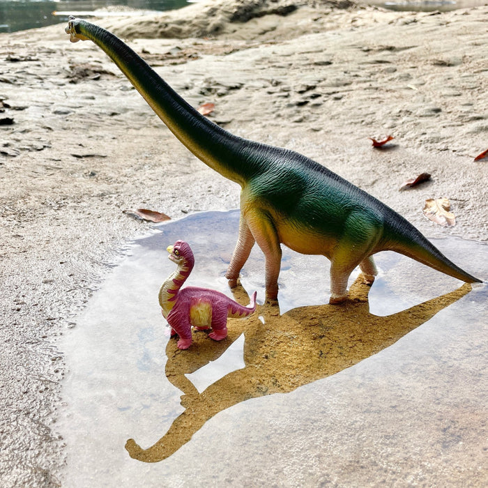 Brachiosaurus Baby Figure - Safari Ltd®