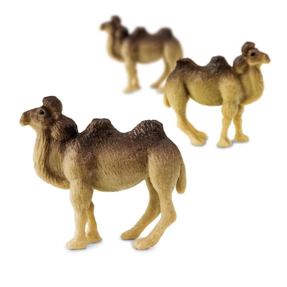 Camels Good Luck Minis | Montessori Toys | Safari Ltd®