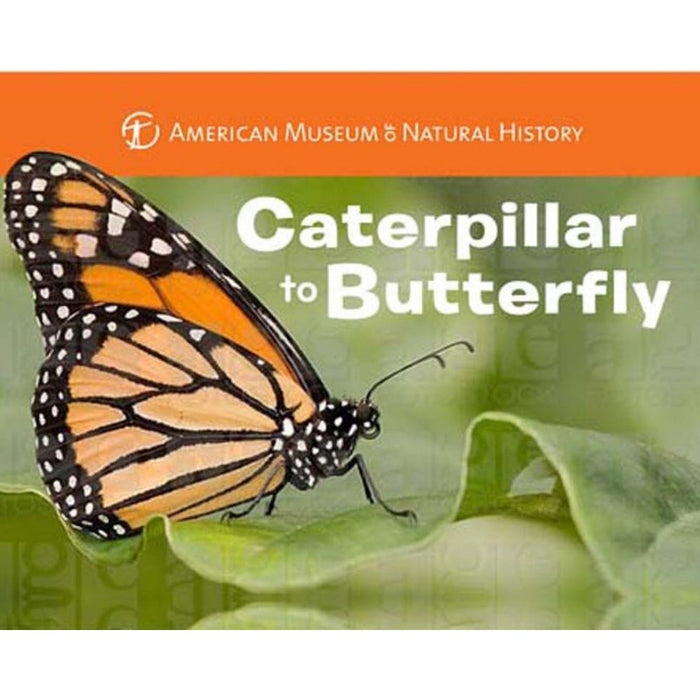 Caterpillar to Butterfly Book - Safari Ltd®