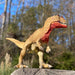 Ceratosaurus Toy - Safari Ltd®