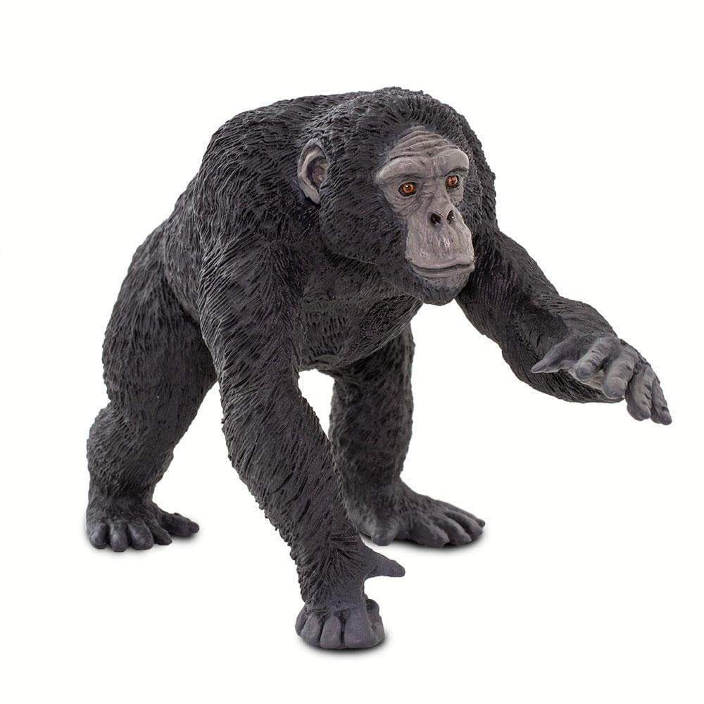 Chimpanzee Figurine – Realistic Ape Model | Safari Ltd® | Safari Ltd®
