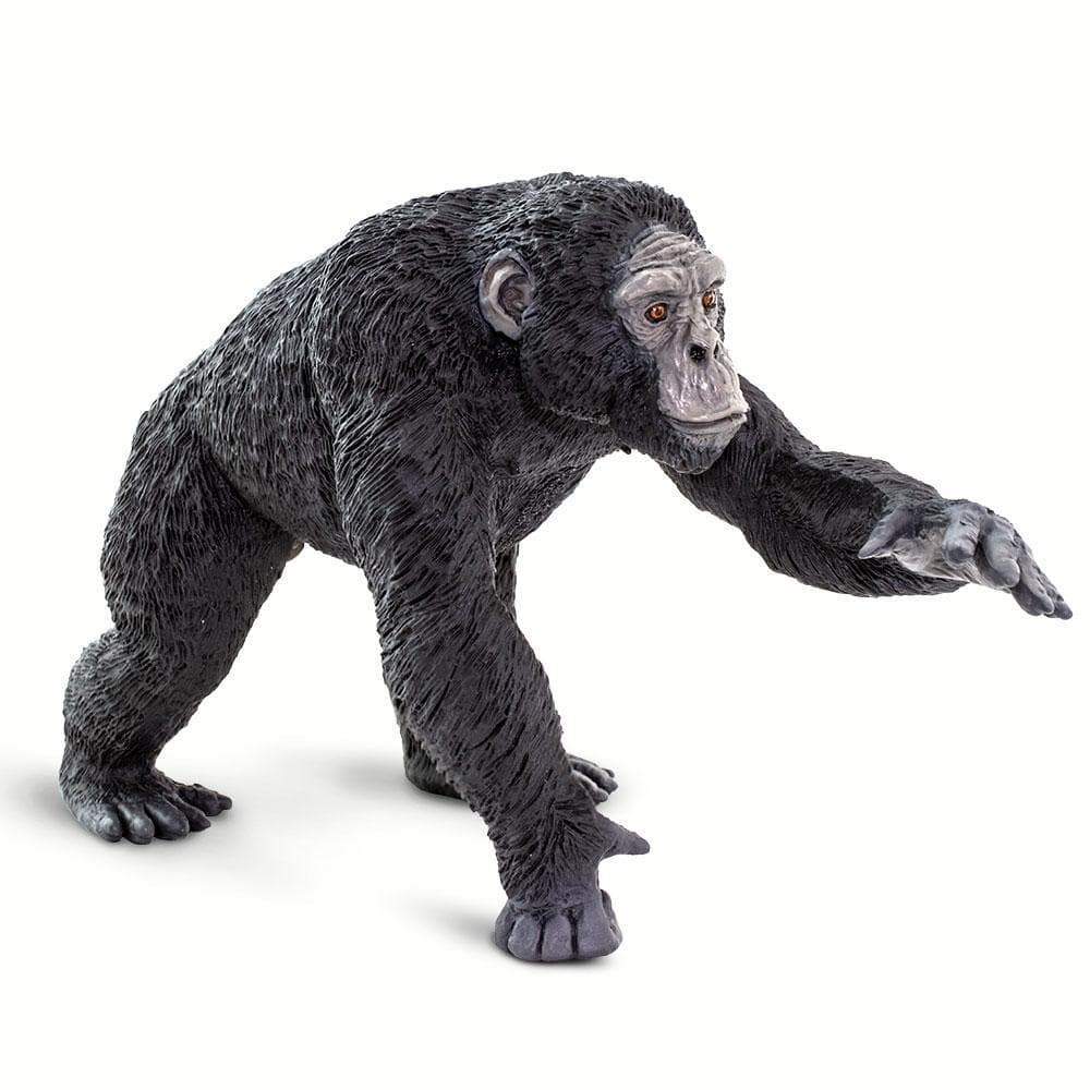 Chimpanzee Figurine – Realistic Ape Model | Safari Ltd® | Safari Ltd®