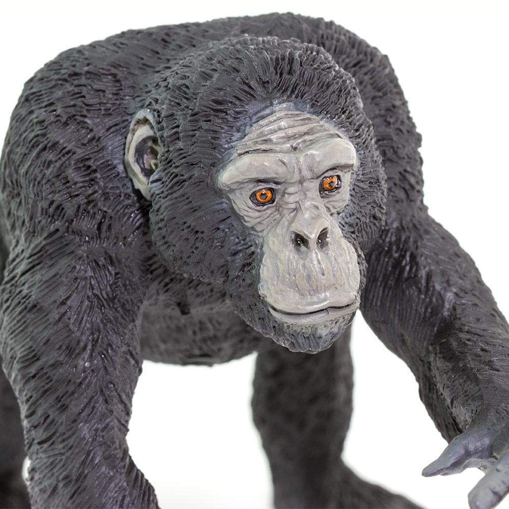 Chimpanzee Figurine – Realistic Ape Model | Safari Ltd® | Safari Ltd®