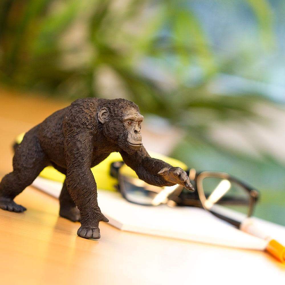 Chimpanzee Figurine – Realistic Ape Model | Safari Ltd® | Safari Ltd®