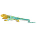 Collared Lizard - Safari Ltd®