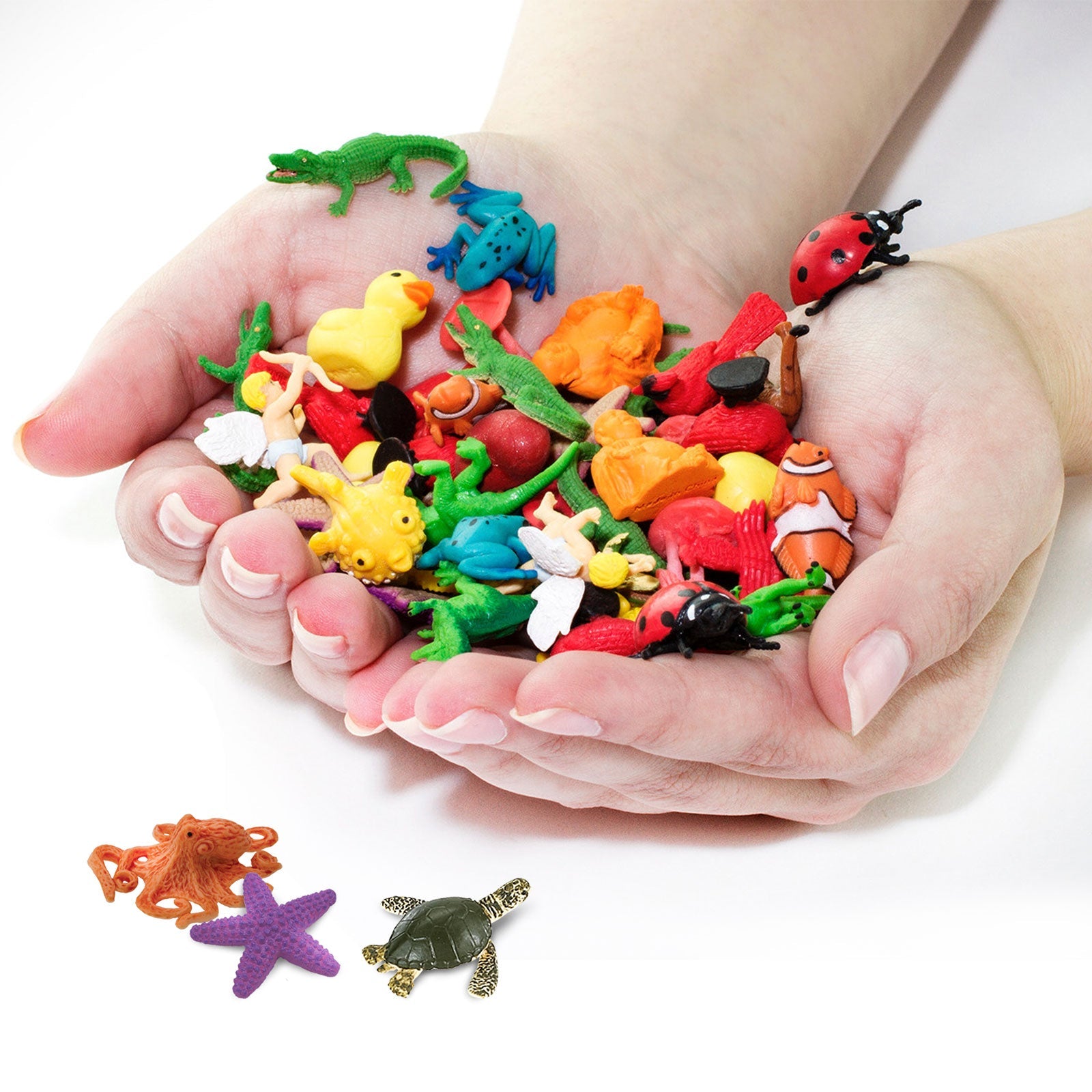 Coral Reef Fun Pack | Montessori Toys | Safari Ltd®