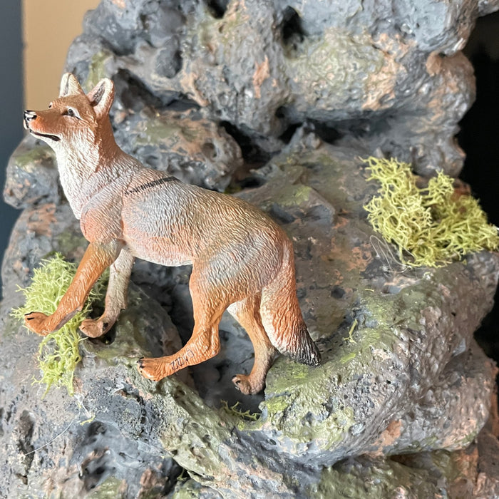 Coyote Toy - Safari Ltd®