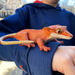 Crested Gecko Toy Figure - Safari Ltd®