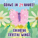 Crystal Butterflies Craft Kit - Safari Ltd®