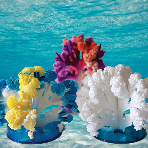Crystal Growing Coral Reef - Safari Ltd®