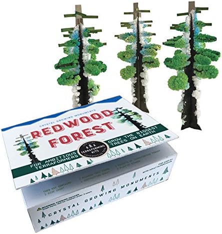 Crystal Growing Redwood Forest - Safari Ltd®