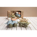 dantoy Bio Train Gift Box - Safari Ltd®