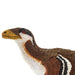 Deinonychus Toy | Dinosaur Toys | Safari Ltd.