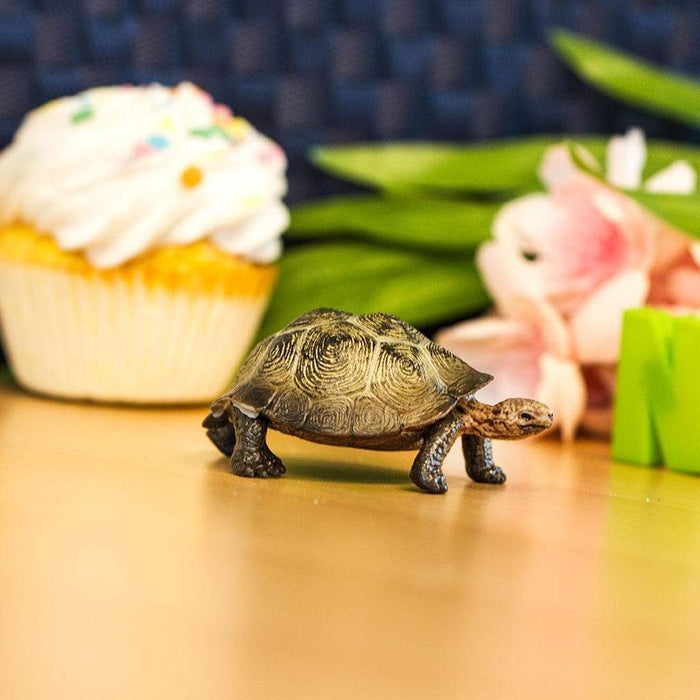Desert Tortoise Toy | Wildlife Animal Toys | Safari Ltd.