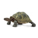 Desert Tortoise Toy | Wildlife Animal Toys | Safari Ltd.
