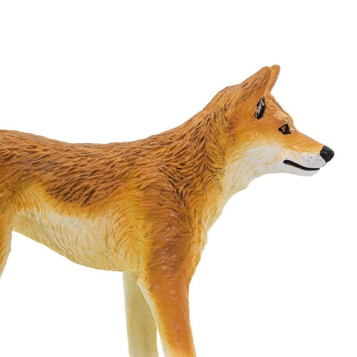 Dingo Toy | Wildlife Animal Toys | Safari Ltd.