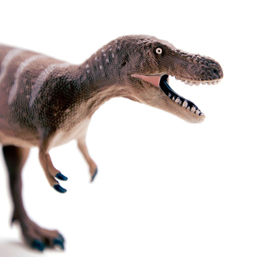Dino Dana Nanotyrannus Toy Dinosaur Figure - Safari Ltd®