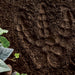 Dino Footprint Stepping Stone Craft Kit - Safari Ltd®