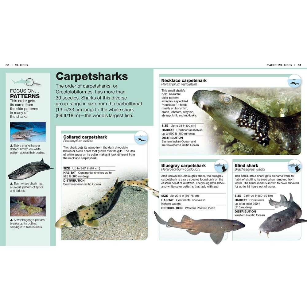 DK Pocket Genius Sharks | Safari Ltd®