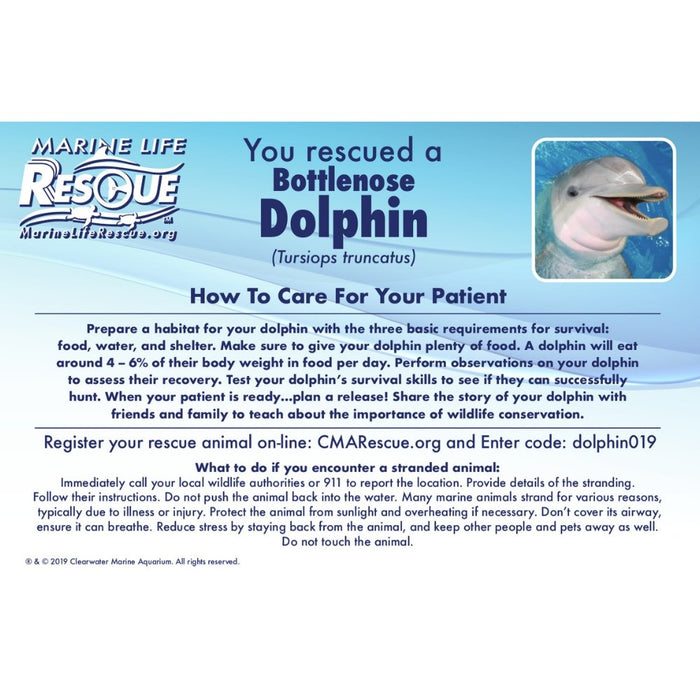 Dolphin in Rescue Stretcher - Safari Ltd®