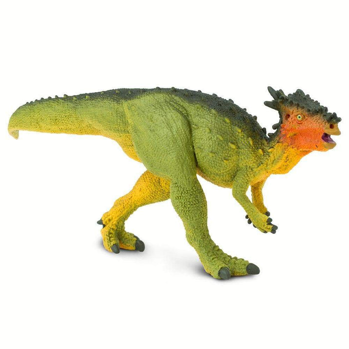 Dracorex Toy | Dinosaur Toys | Safari Ltd.