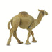 Dromedary Camel Toy | Wildlife Animal Toys | Safari Ltd.