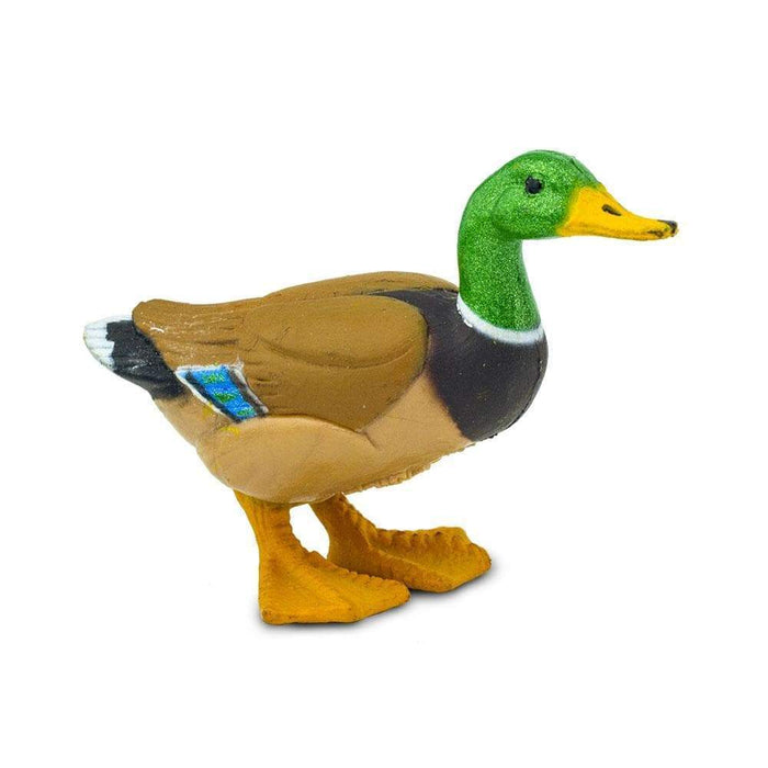 Duck - Safari Ltd®