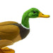 Duck - Safari Ltd®