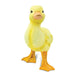 Duckling - Safari Ltd®