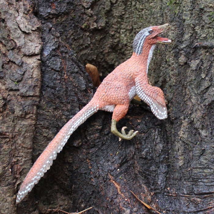 Feathered Velociraptor Toy - Safari Ltd®